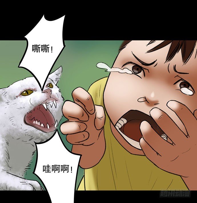 猫-2