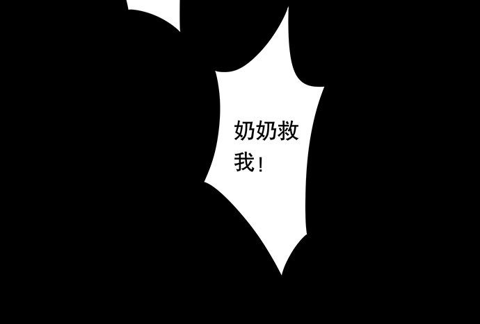 猫-2