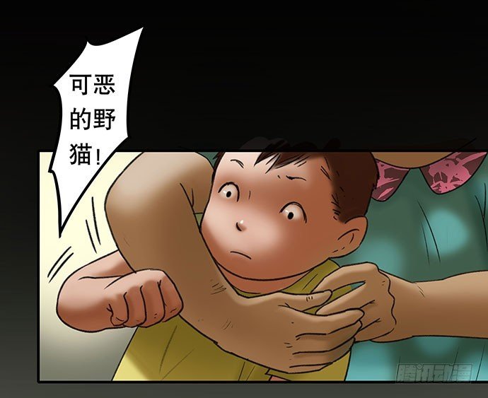 猫-2