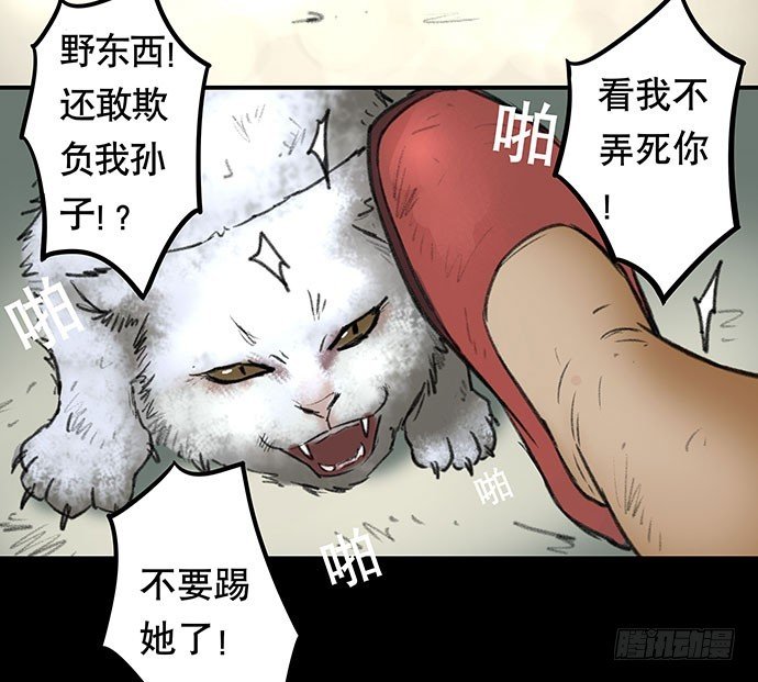 猫-2