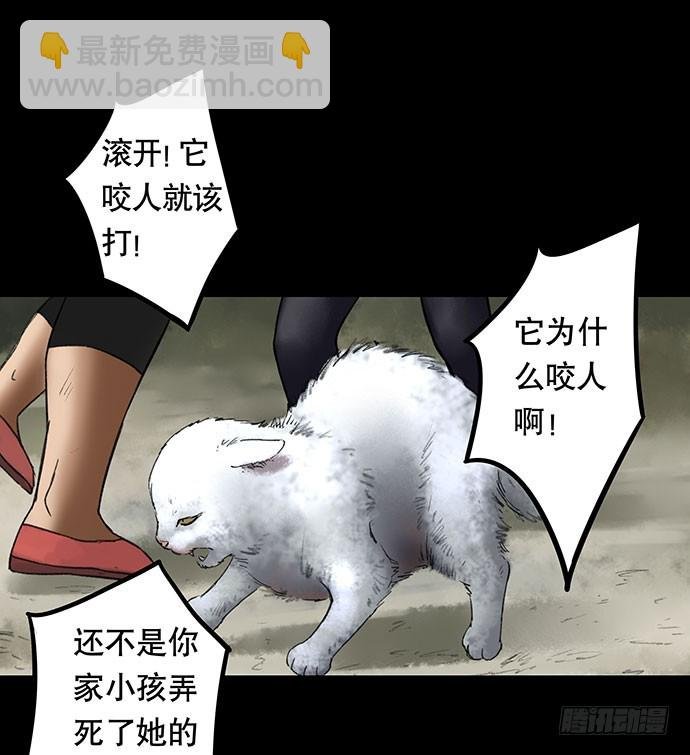 猫-2