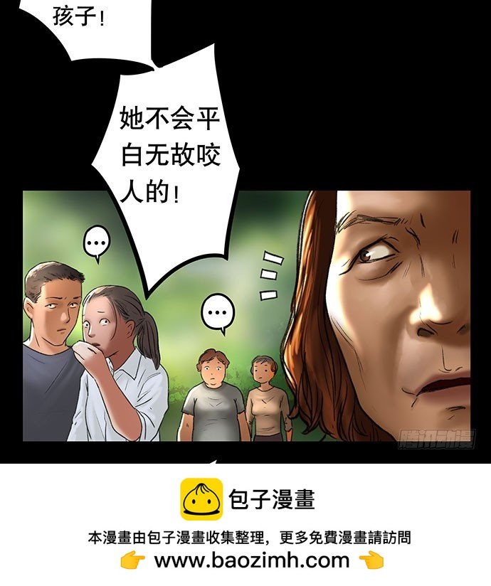 猫-2