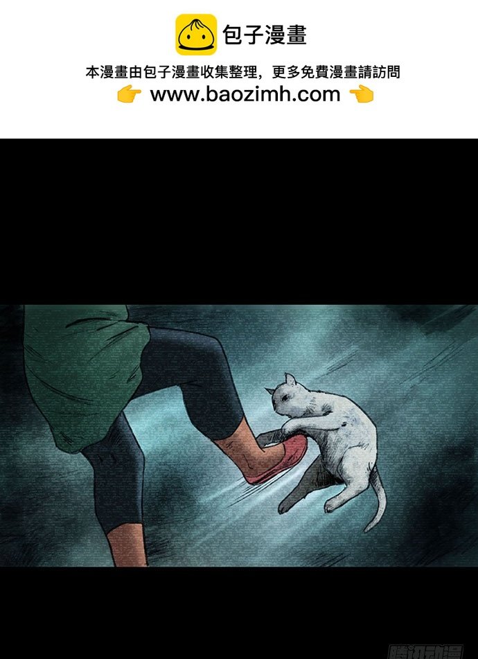猫-3