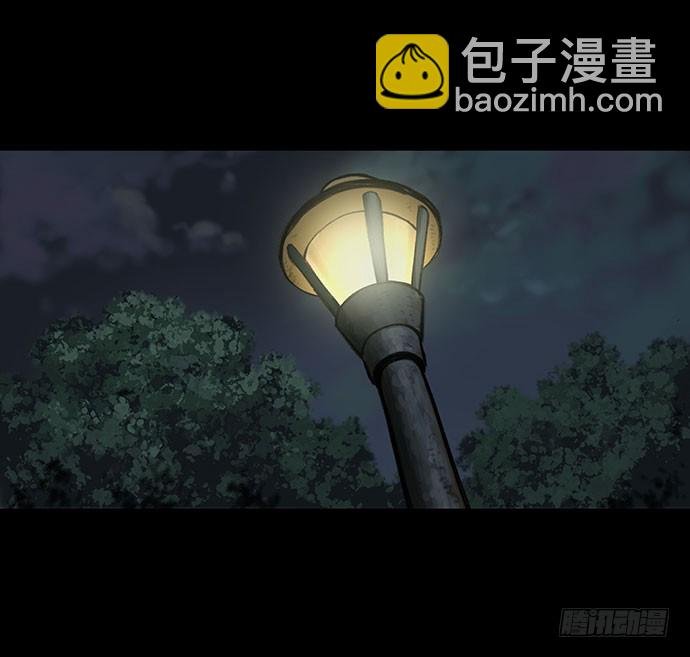 猫-3
