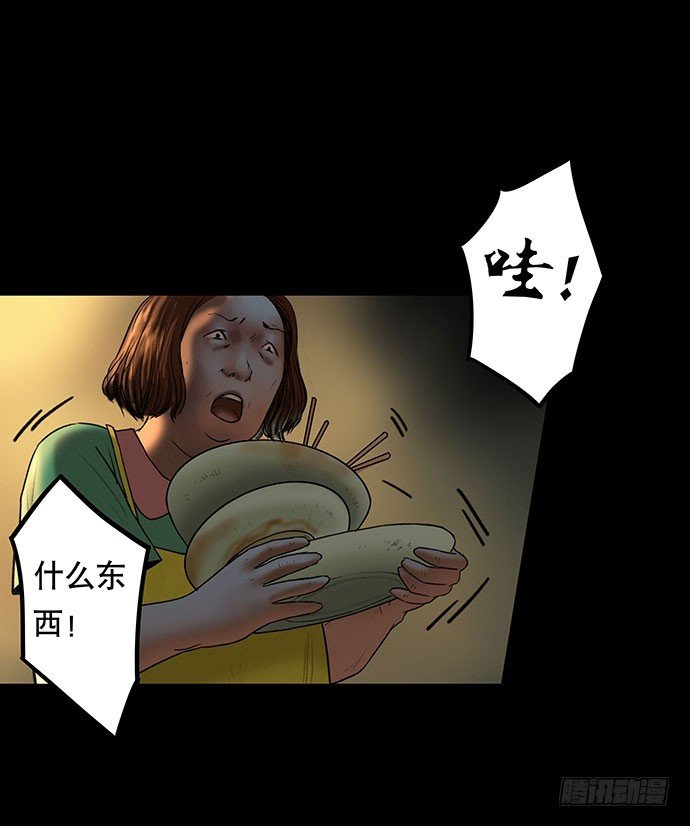 猫-3