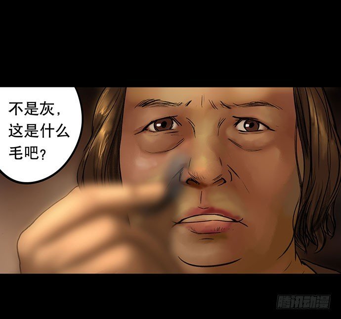 猫-3