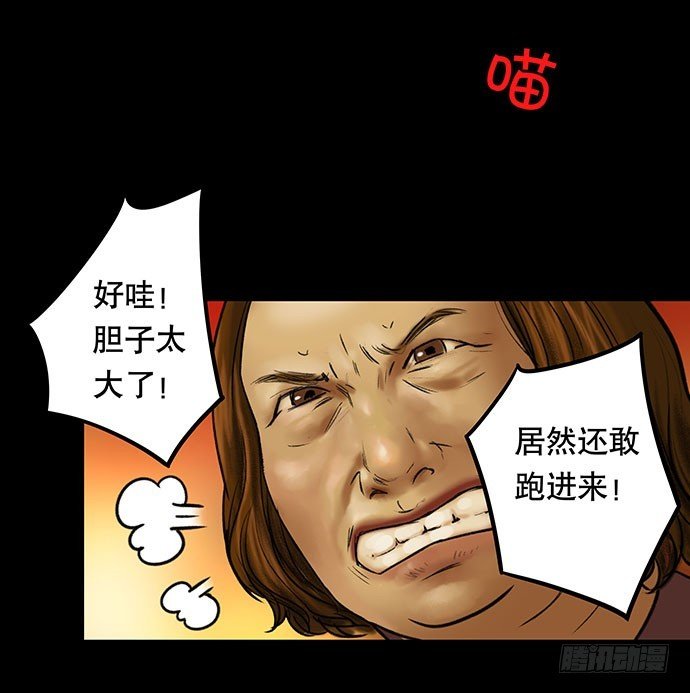猫-3