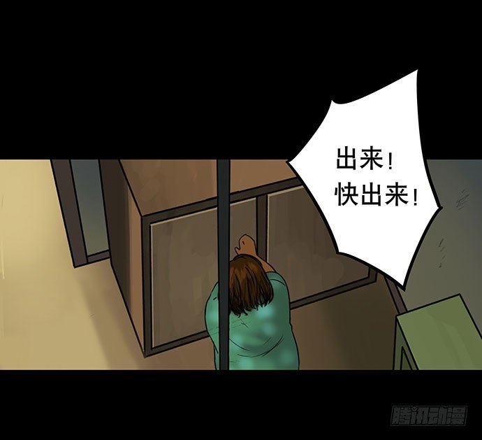 猫-3
