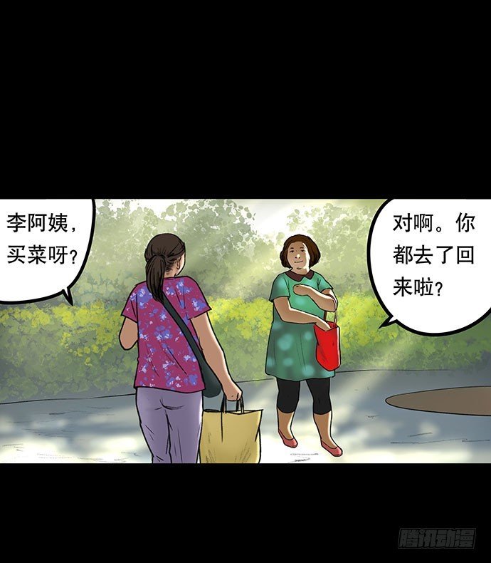 猫-3