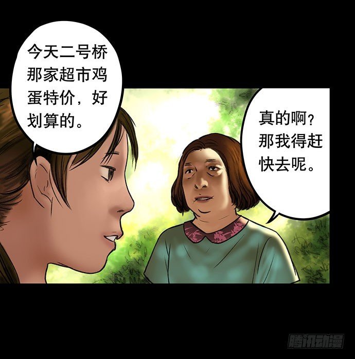 猫-3