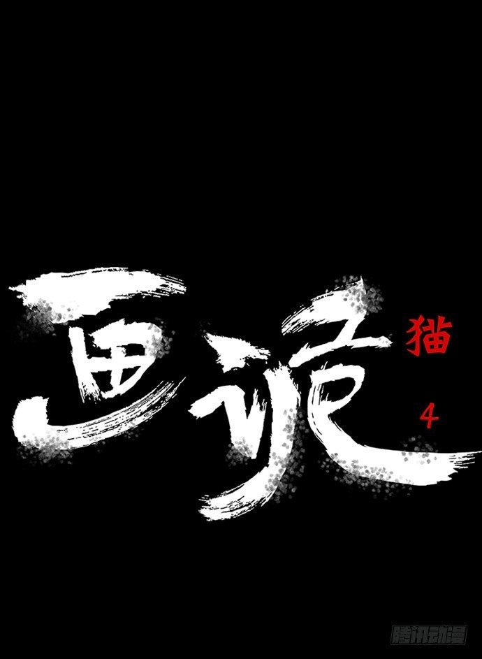猫-4