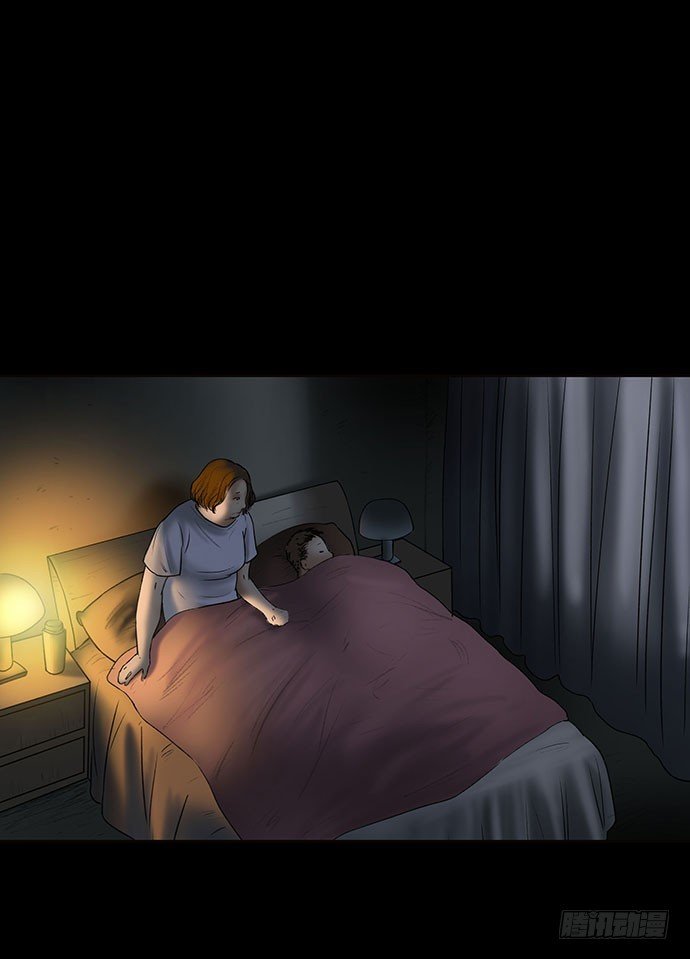 猫-4