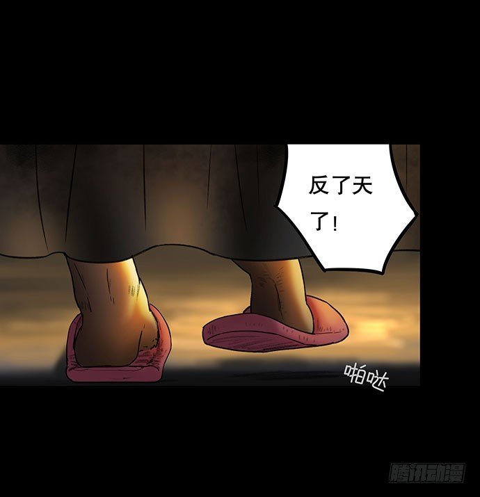 猫-4