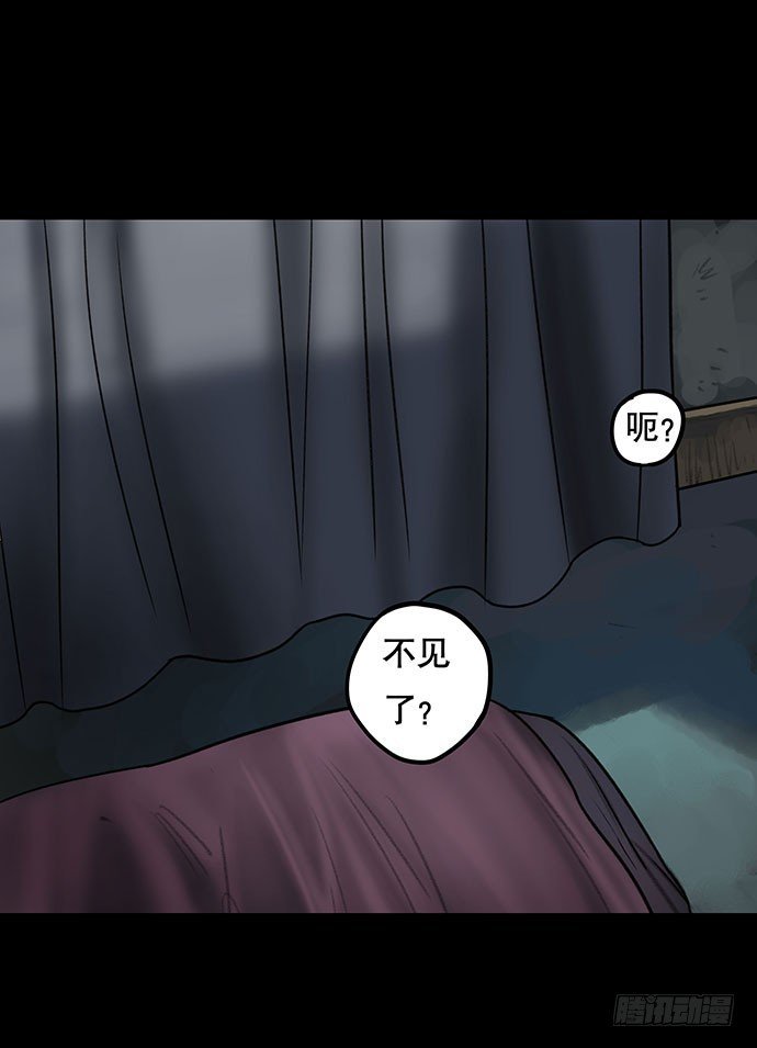 猫-4