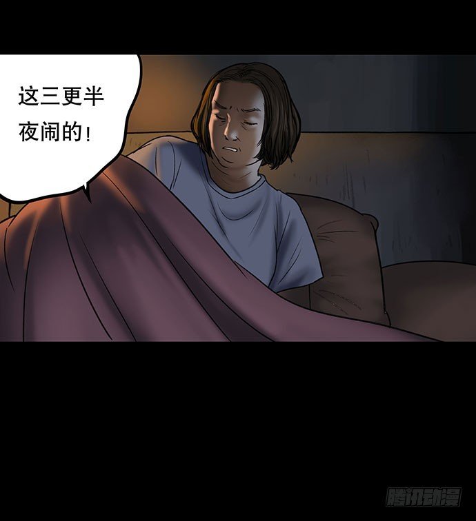 猫-4