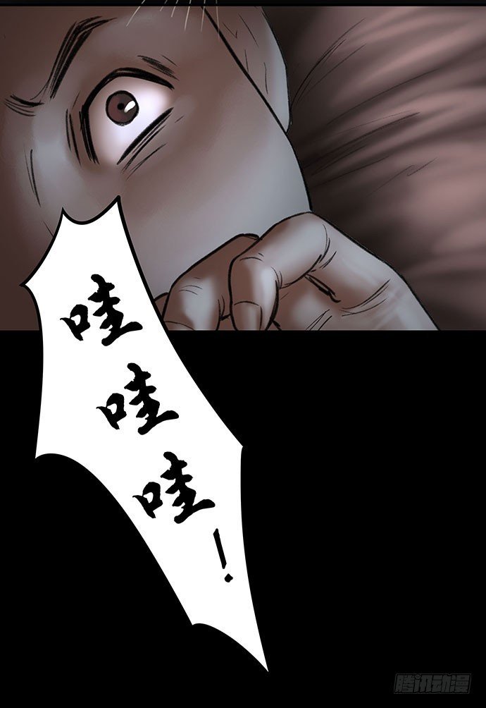 猫-4