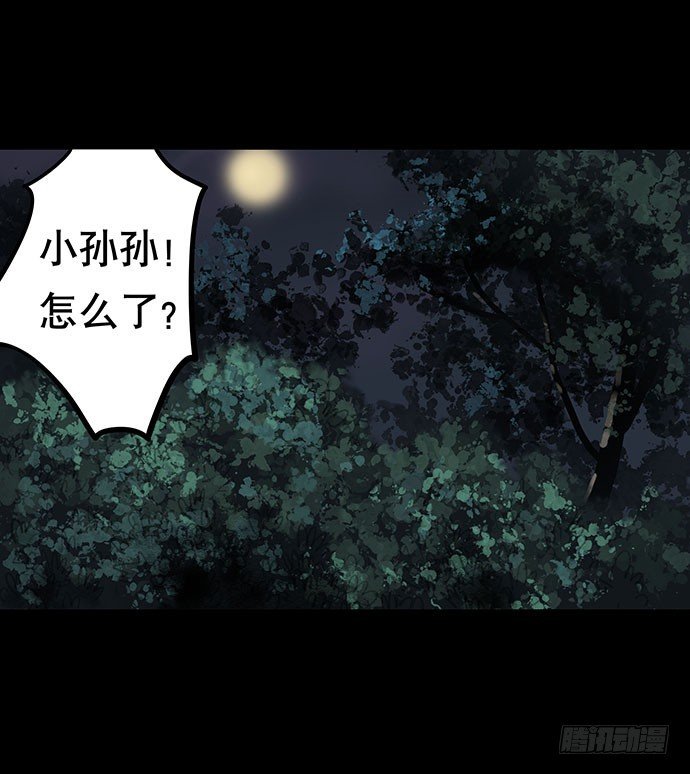 猫-4