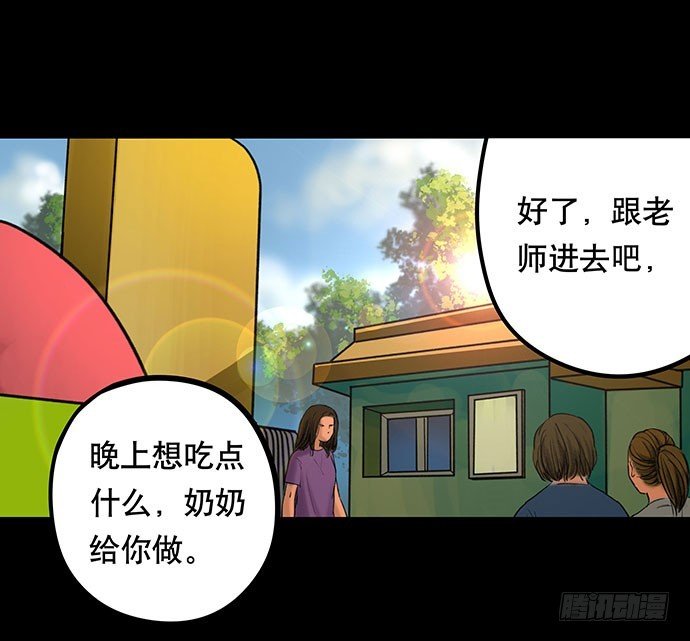猫-4