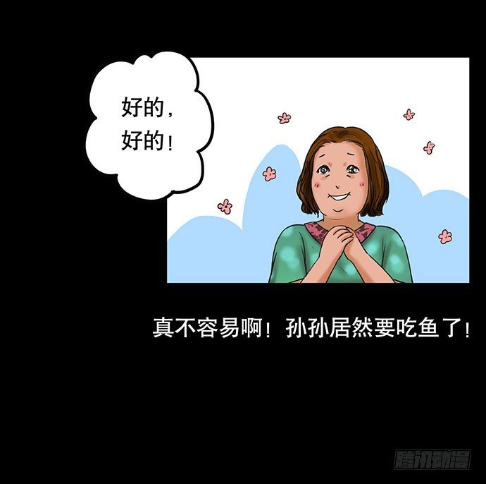 猫-4