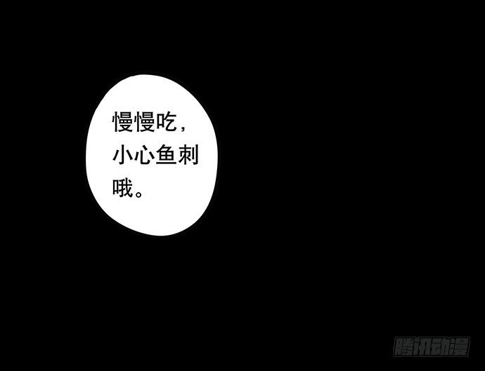 猫-4
