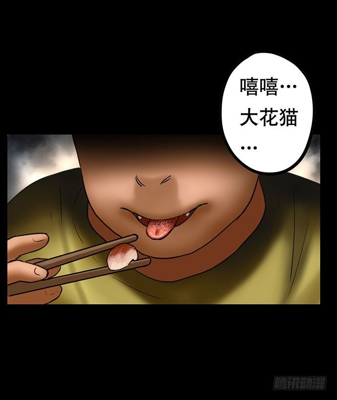 猫-4