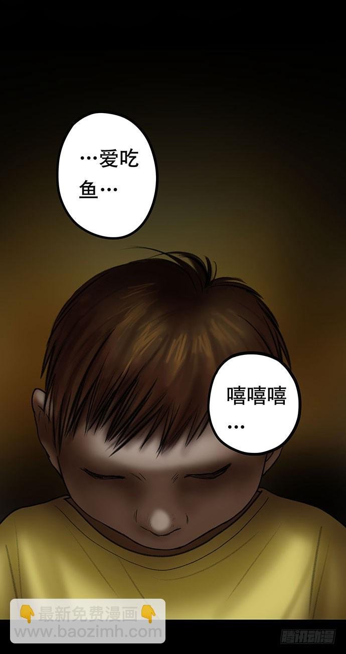 猫-4