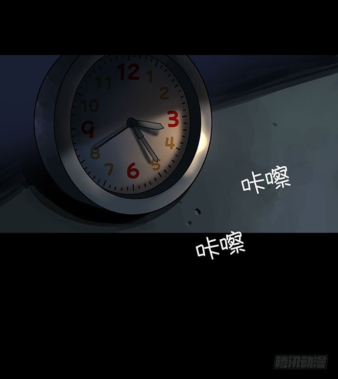 猫-4