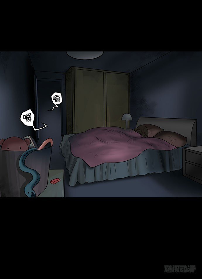 猫-4