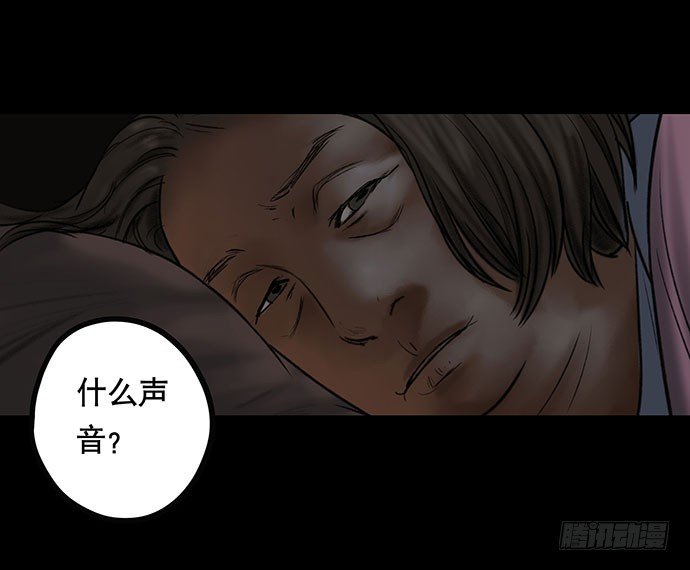 猫-4