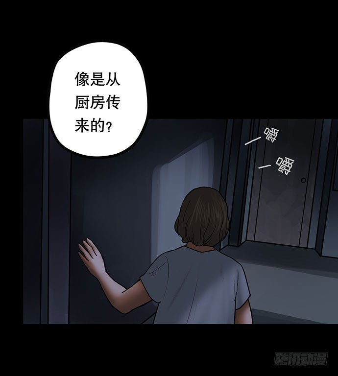 猫-4