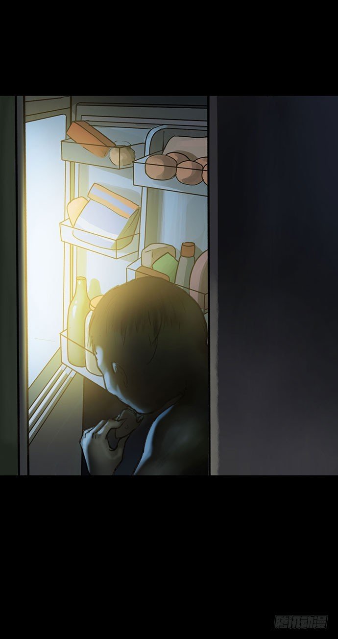 猫-4