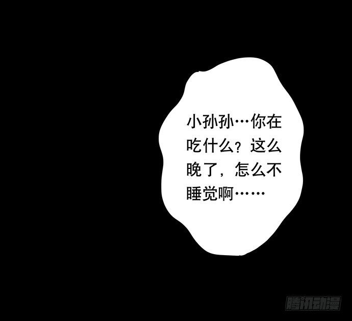 猫-4