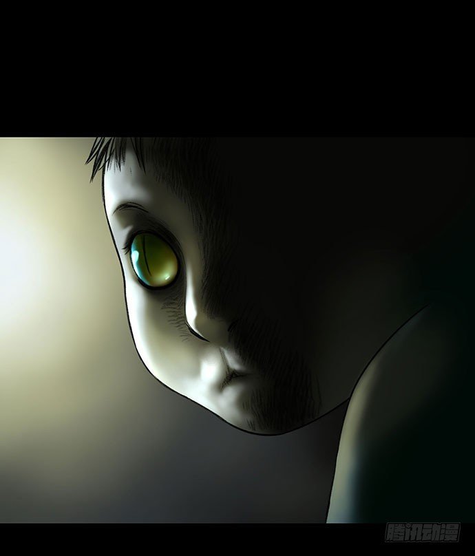 猫-4