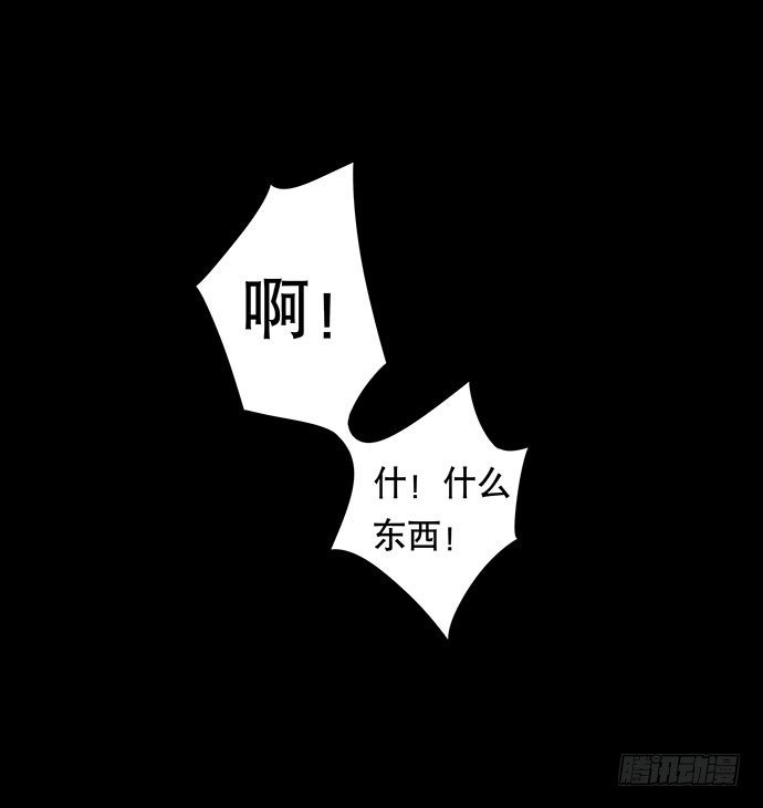 猫-4