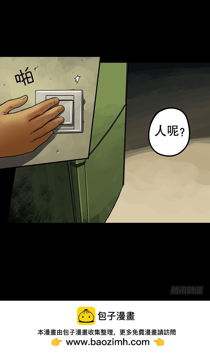 猫-4