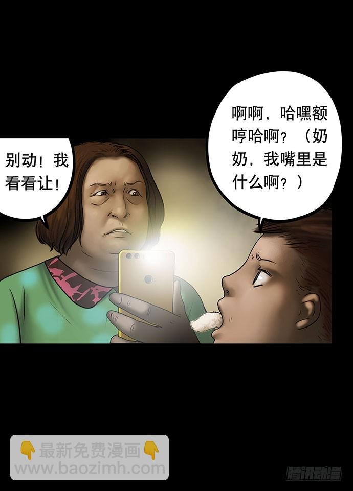 猫-5