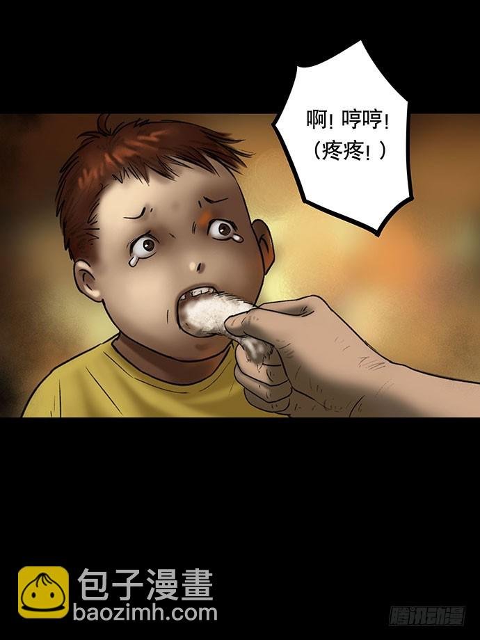猫-5