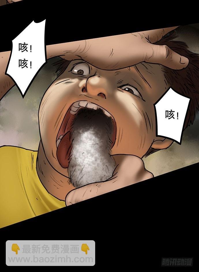 猫-5