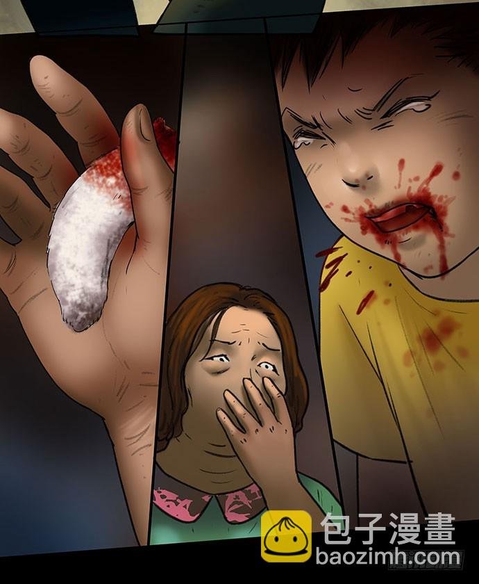 猫-5