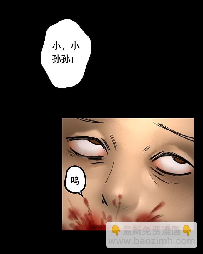 猫-5