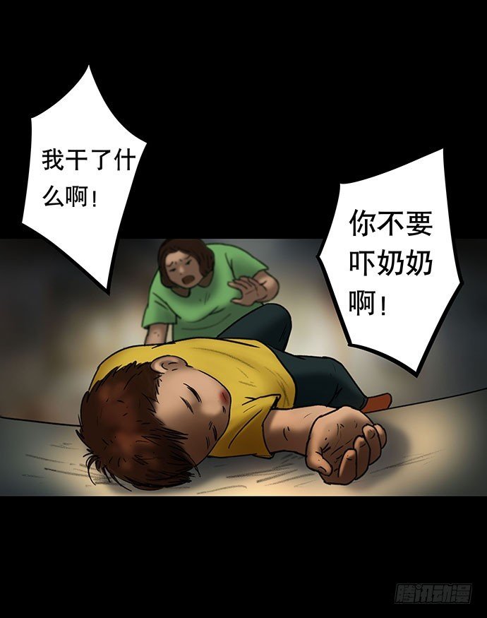 猫-5
