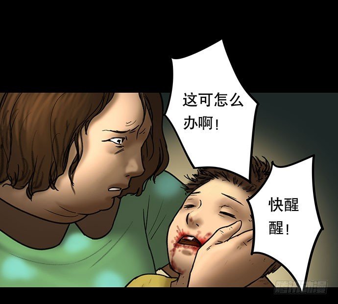 猫-5