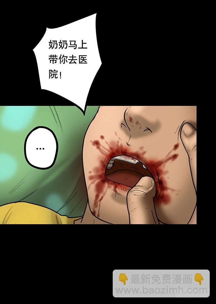 猫-5