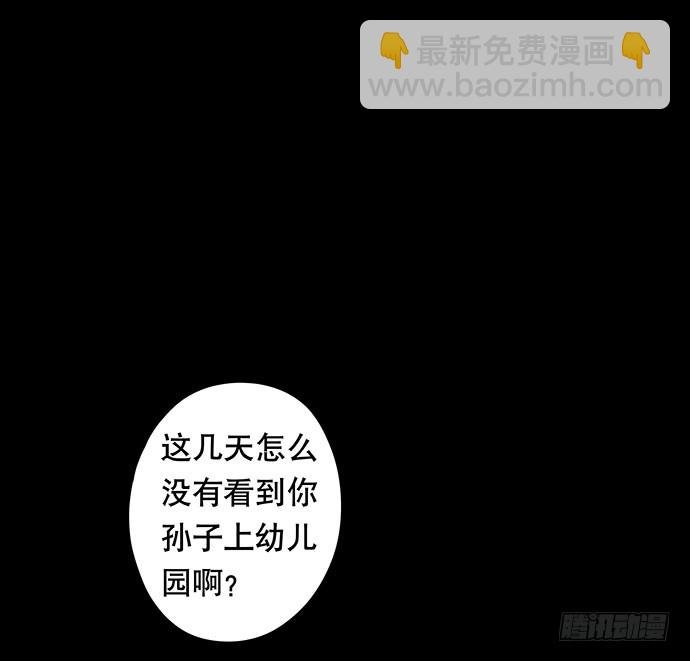 猫-5