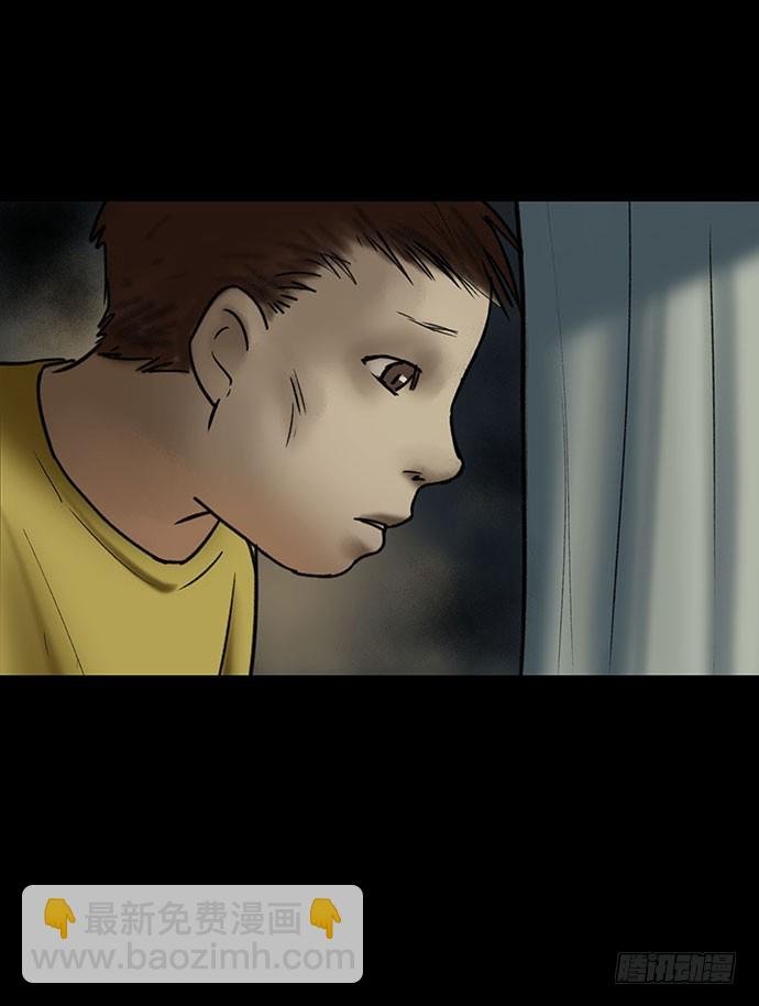 猫-5