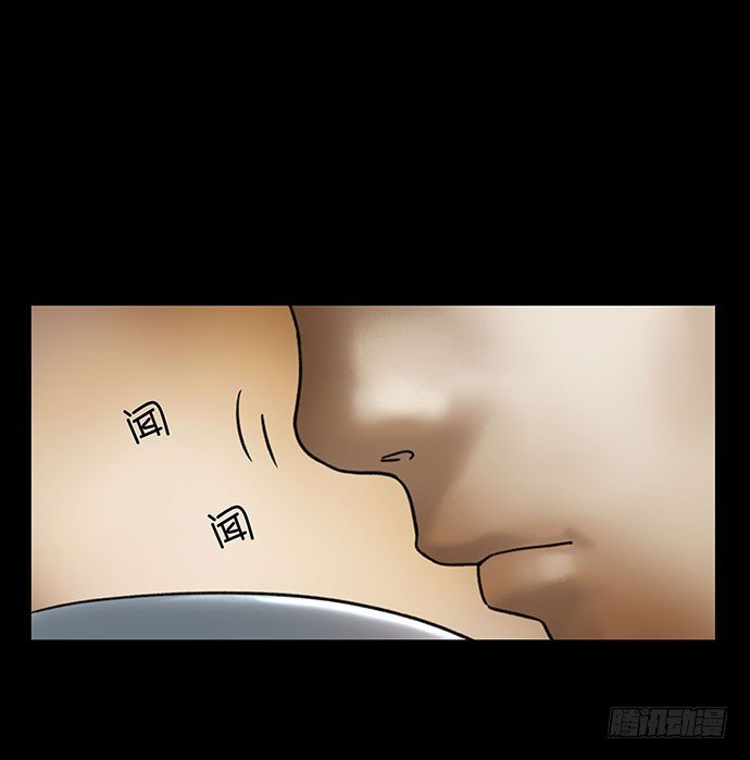 猫-5