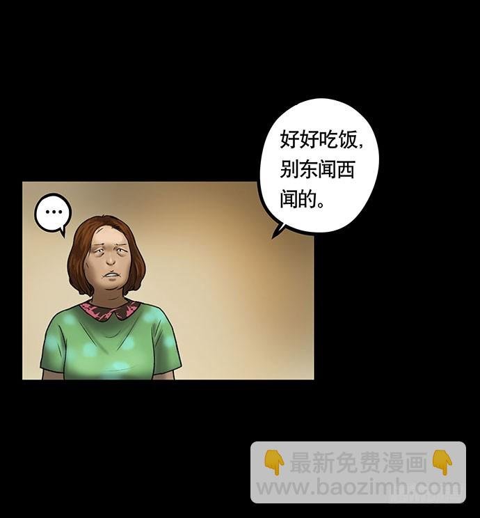 猫-5