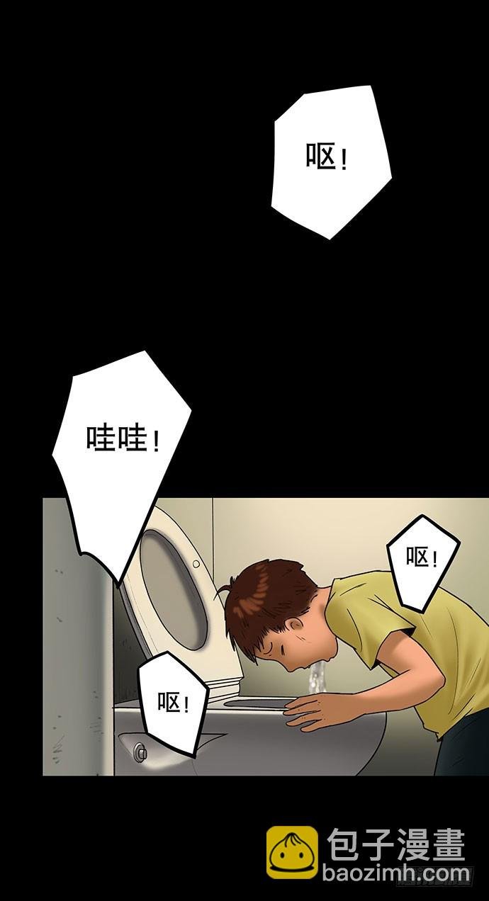 猫-5