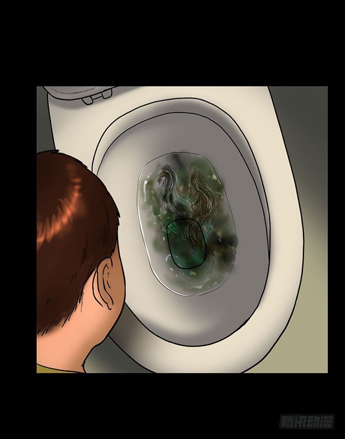 猫-5