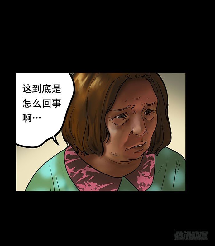 猫-5